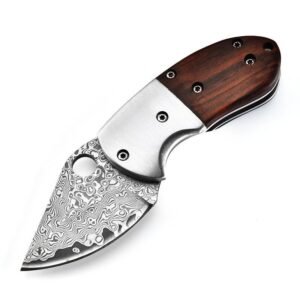Mini Mantis Knife Damascus Steel Folding Knife Wooden Handle Pocket Knife Portable Unboxing