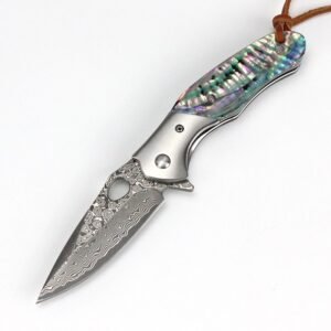 Outdoor knife 305 high hardness sandalwood handle 76 layer Damascus color shell handle folding knife
